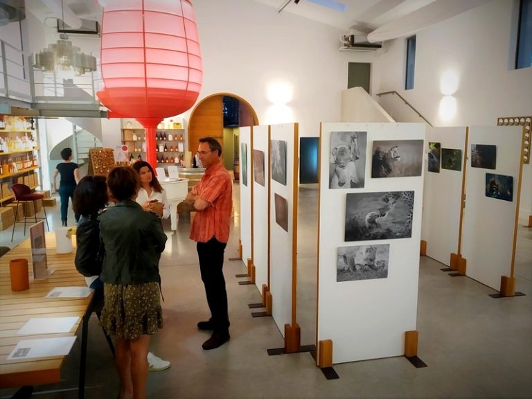 Domaine des Feraud Nicolas de Vaulx