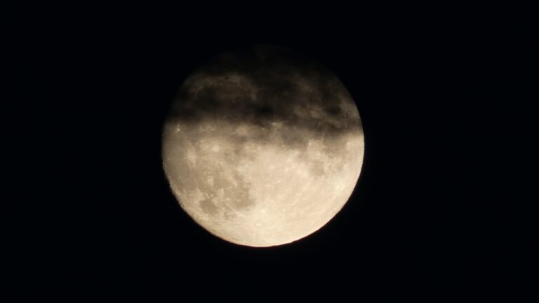 Festival nuits blanches