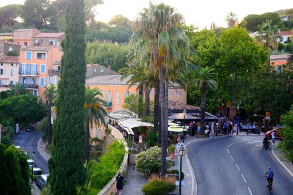 Bormes les Mimosas
