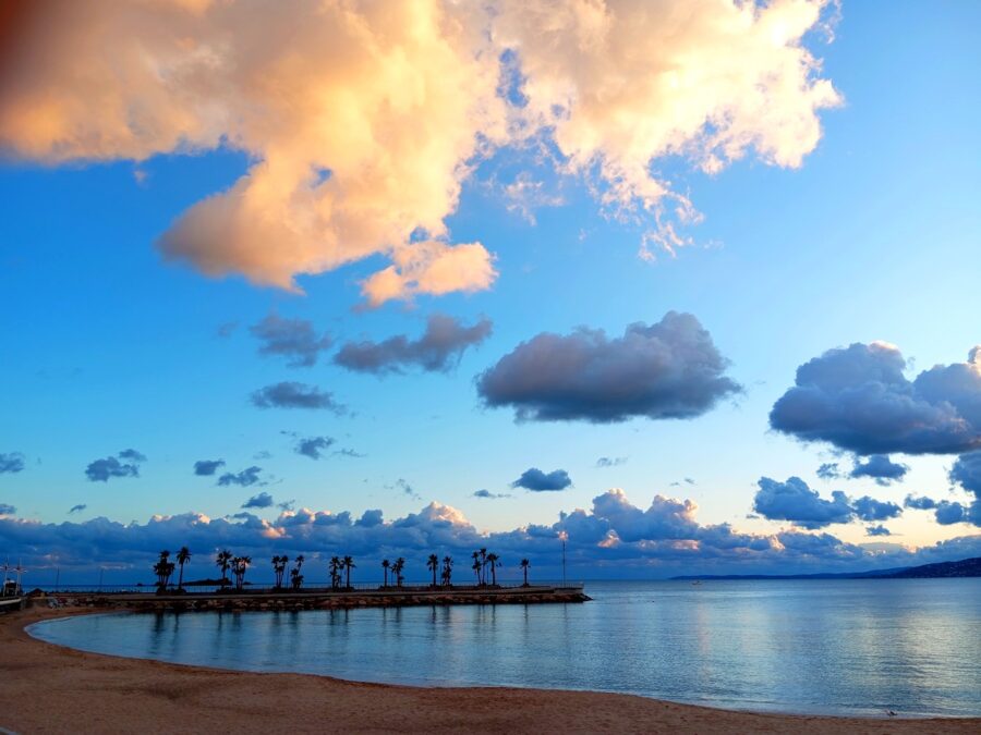 Epi Diana ©dracenie.net