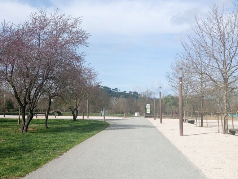 Parc Vidauban Dracenie