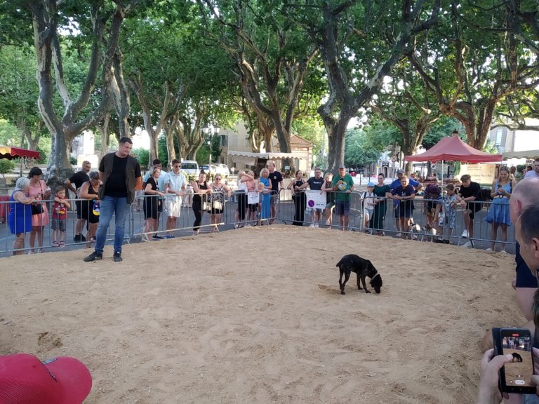 Aups célèbre la truffe d&rsquo;été